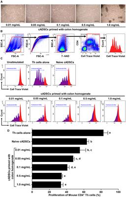 Effective enhancement of the immunomodulatory capacity of canine adipose-derived mesenchymal stromal cells on colitis by priming with colon tissue from mice with colitis